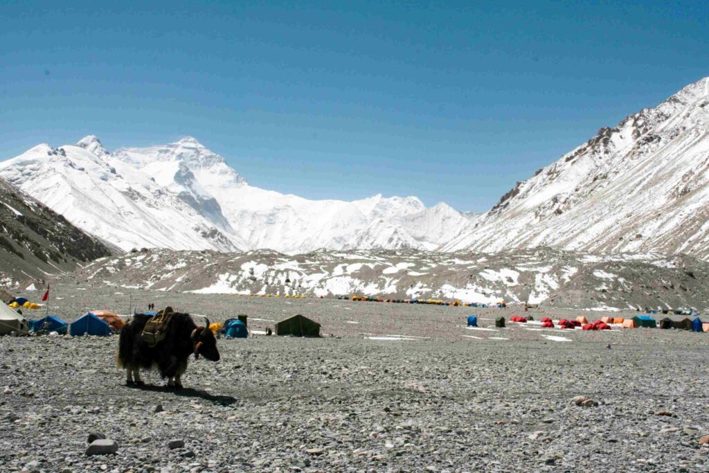 Everest Base Camp Tibet