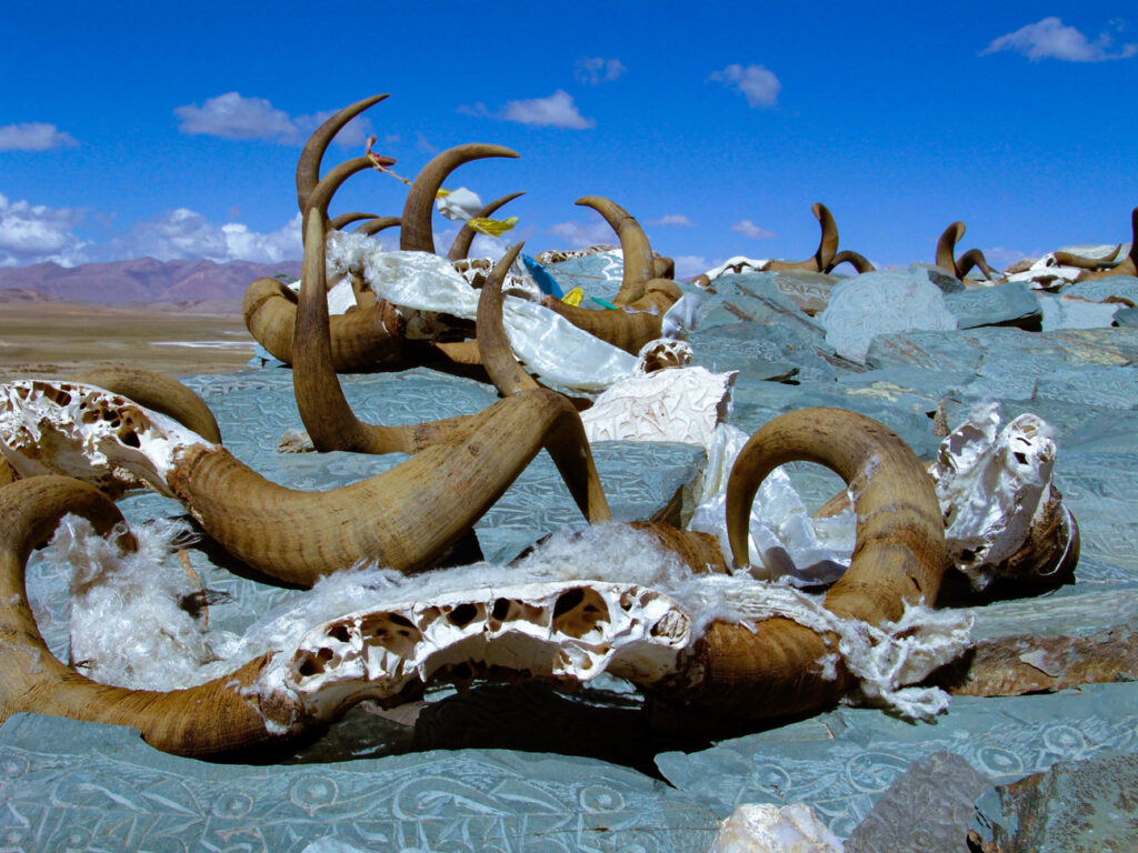 Tibet – Kailash & the Guge Kingdom